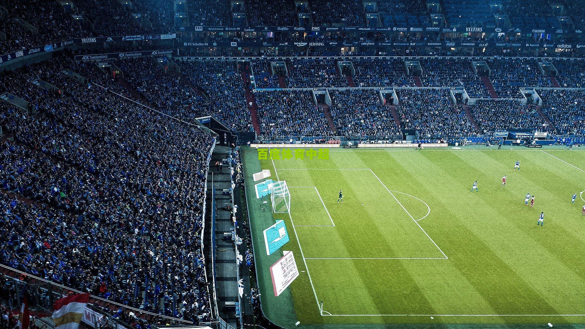 【百度体育app】雷声谈击剑心得，宝贵经验若非训练落实 终是空中楼阁