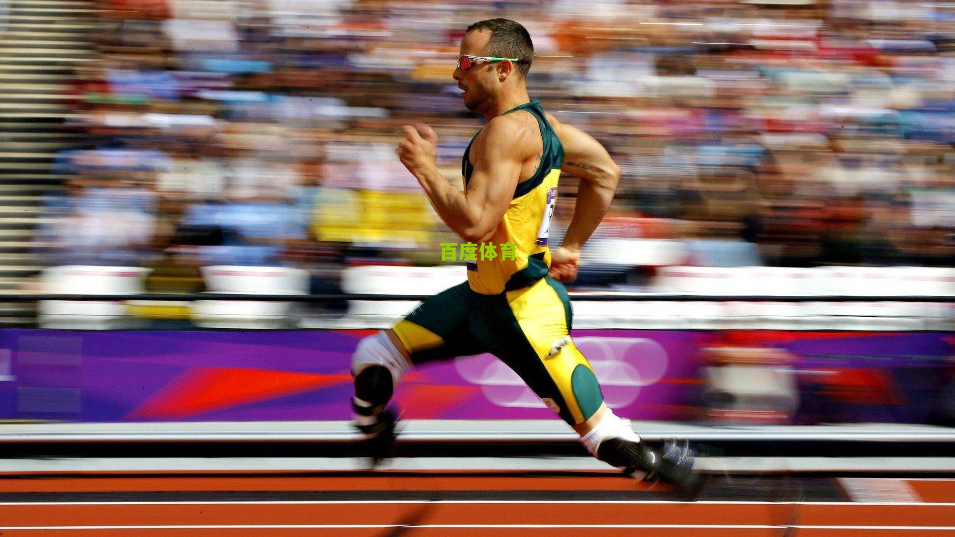 短道速滑世界杯北京站战火重燃 任子威1500米意外失手 后程发力冲击双金